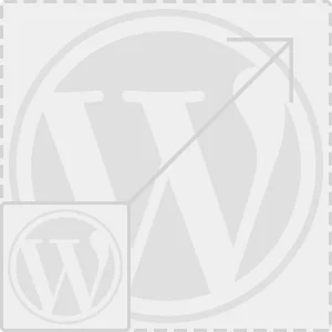 Webseite Wordpress